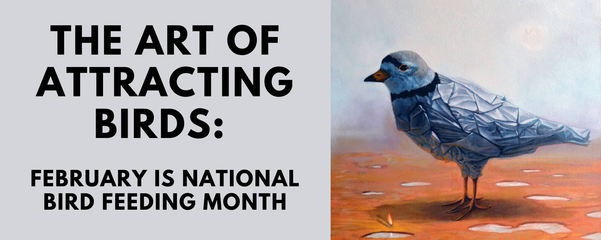 Title image for the blog "The Art of Attracting Birds: February is National Bird Feeding Month"